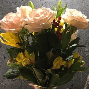 Meet your Posher, Beth